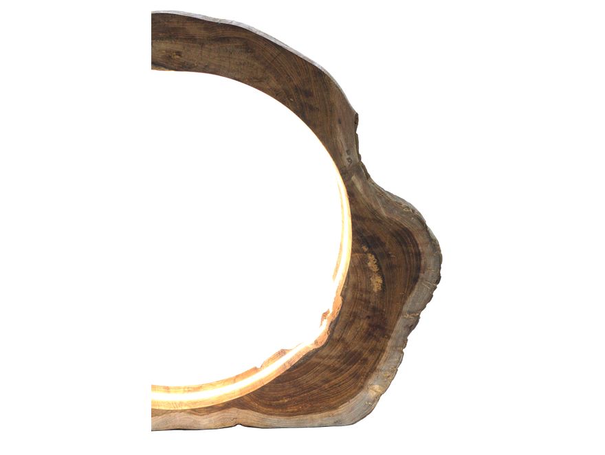 SalesFever® Tischleuchte LED Treibholz Natur Portal 367308 - 5