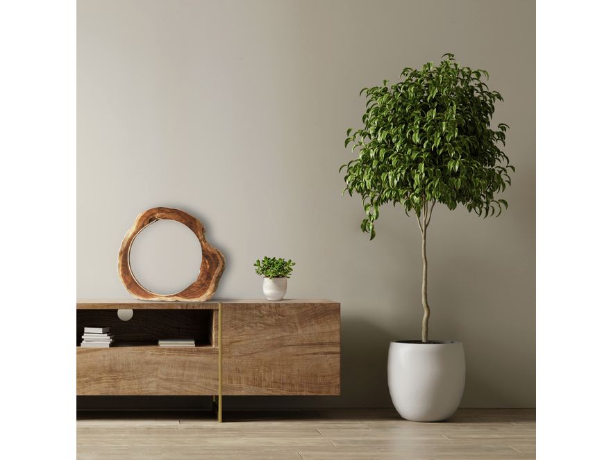 SalesFever® Tischleuchte LED Treibholz Natur Portal 367308 - 7